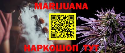 гашик Берёзовский