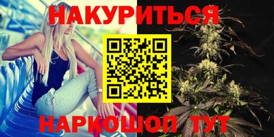 гашик Берёзовский