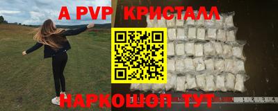 гашик Берёзовский