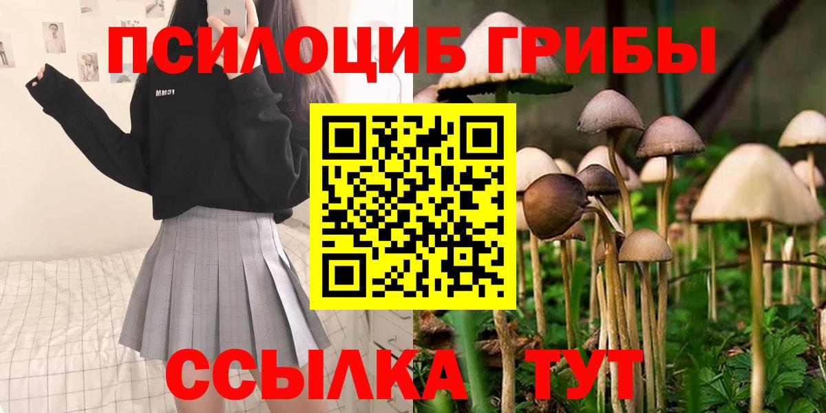 Псилоцибиновые грибы мухоморы  Галлюциногенные грибы MAGIC MUSHROOMS  Вязники  Вход с VPN 