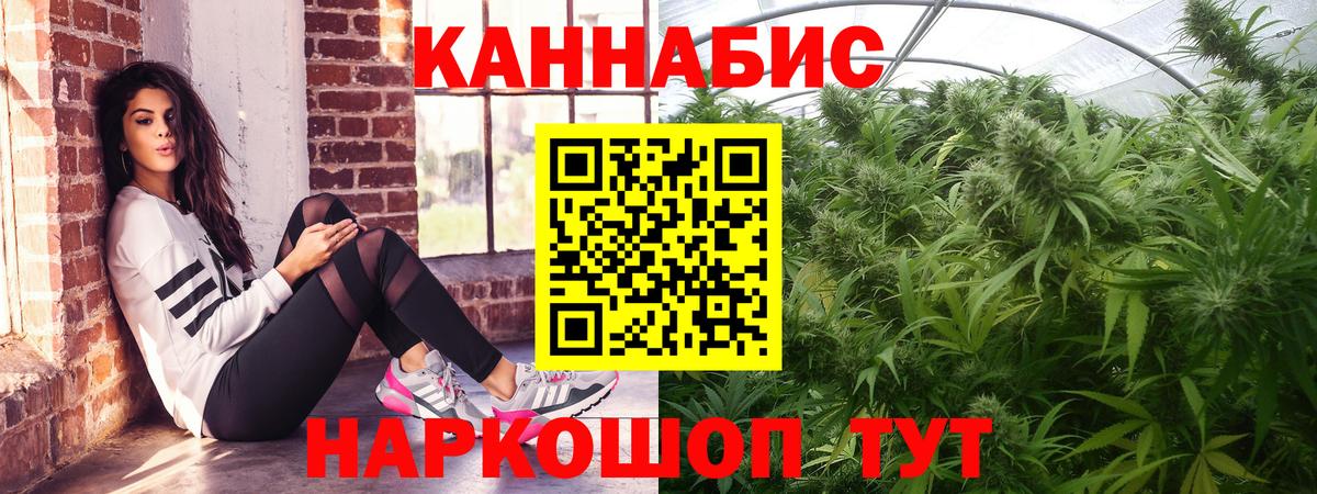 Бошки Шишки индика Вязники